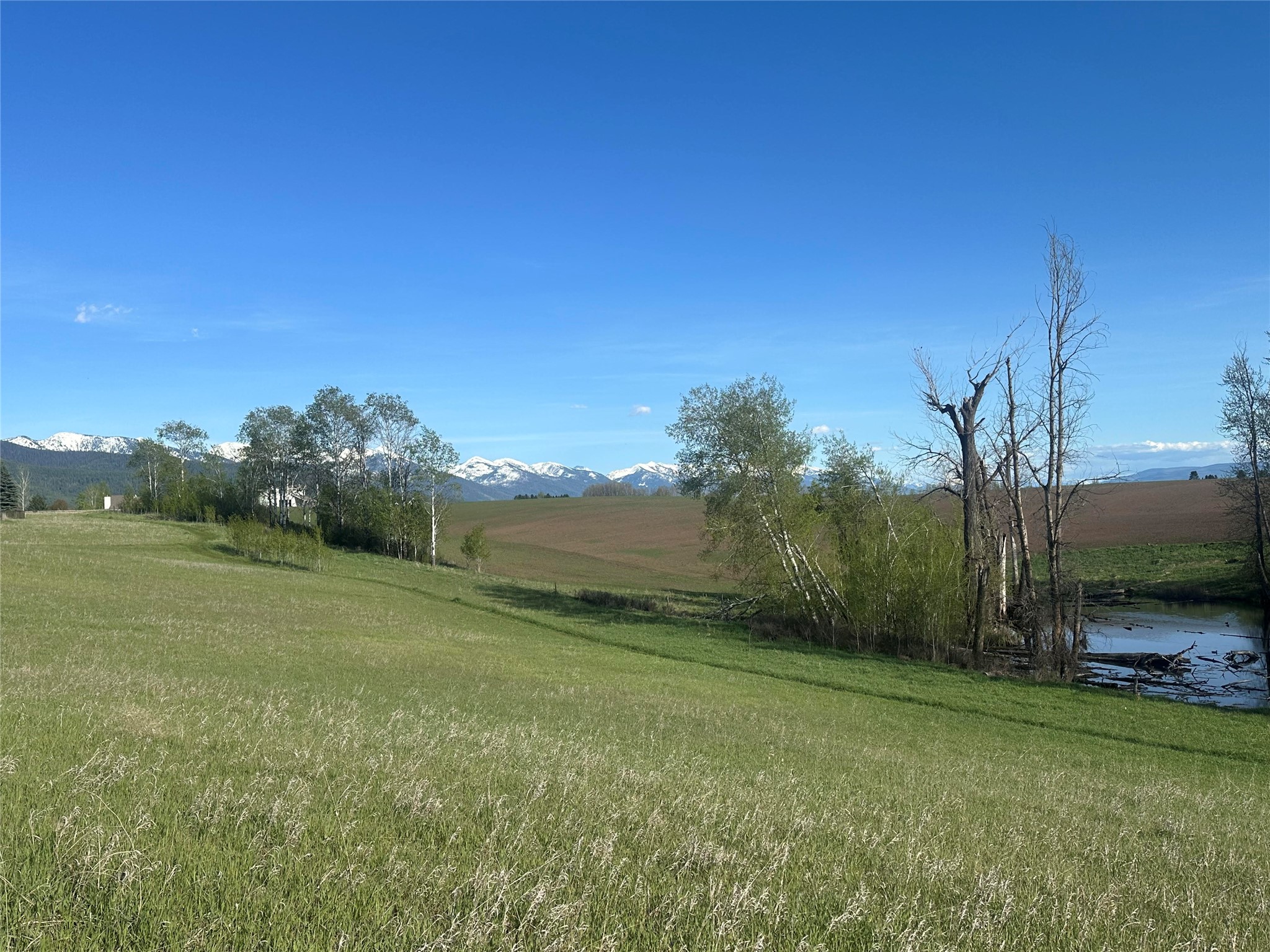 1321 Quail Ridge Drive
