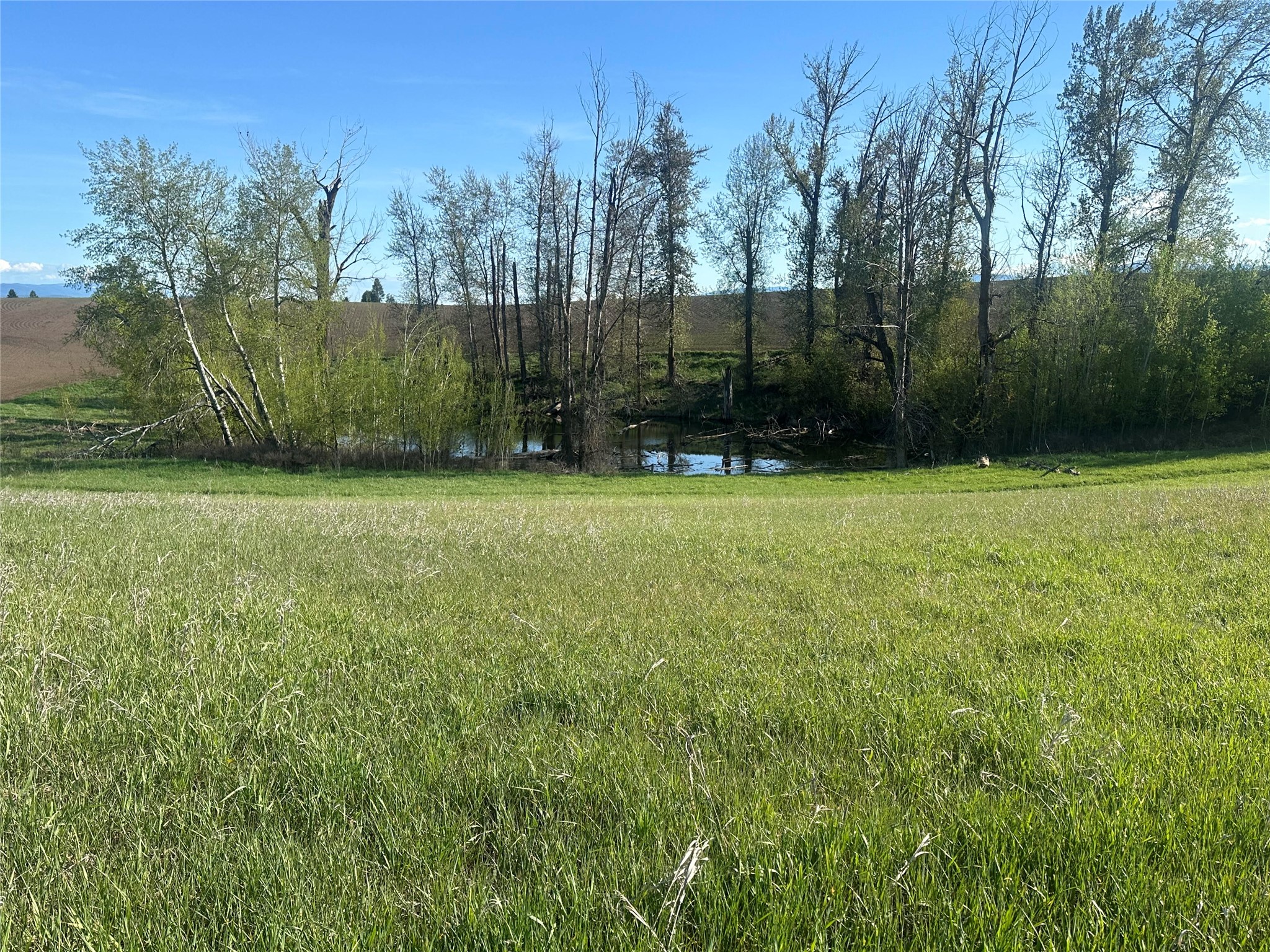 1321 Quail Ridge Drive