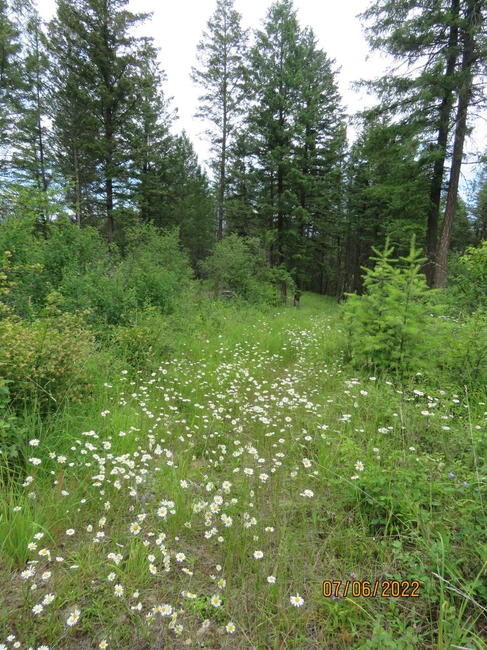 NHN Parker Lakes Road