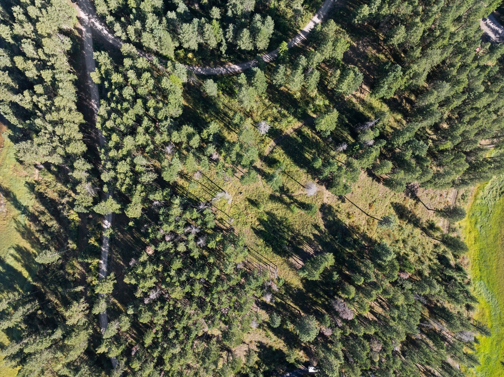 NHN Parker Lakes Road