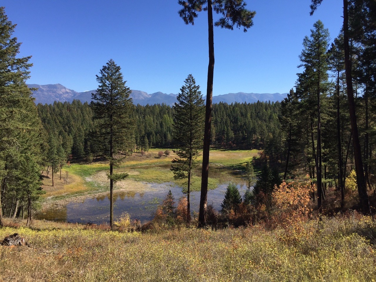NHN Parker Lakes Road