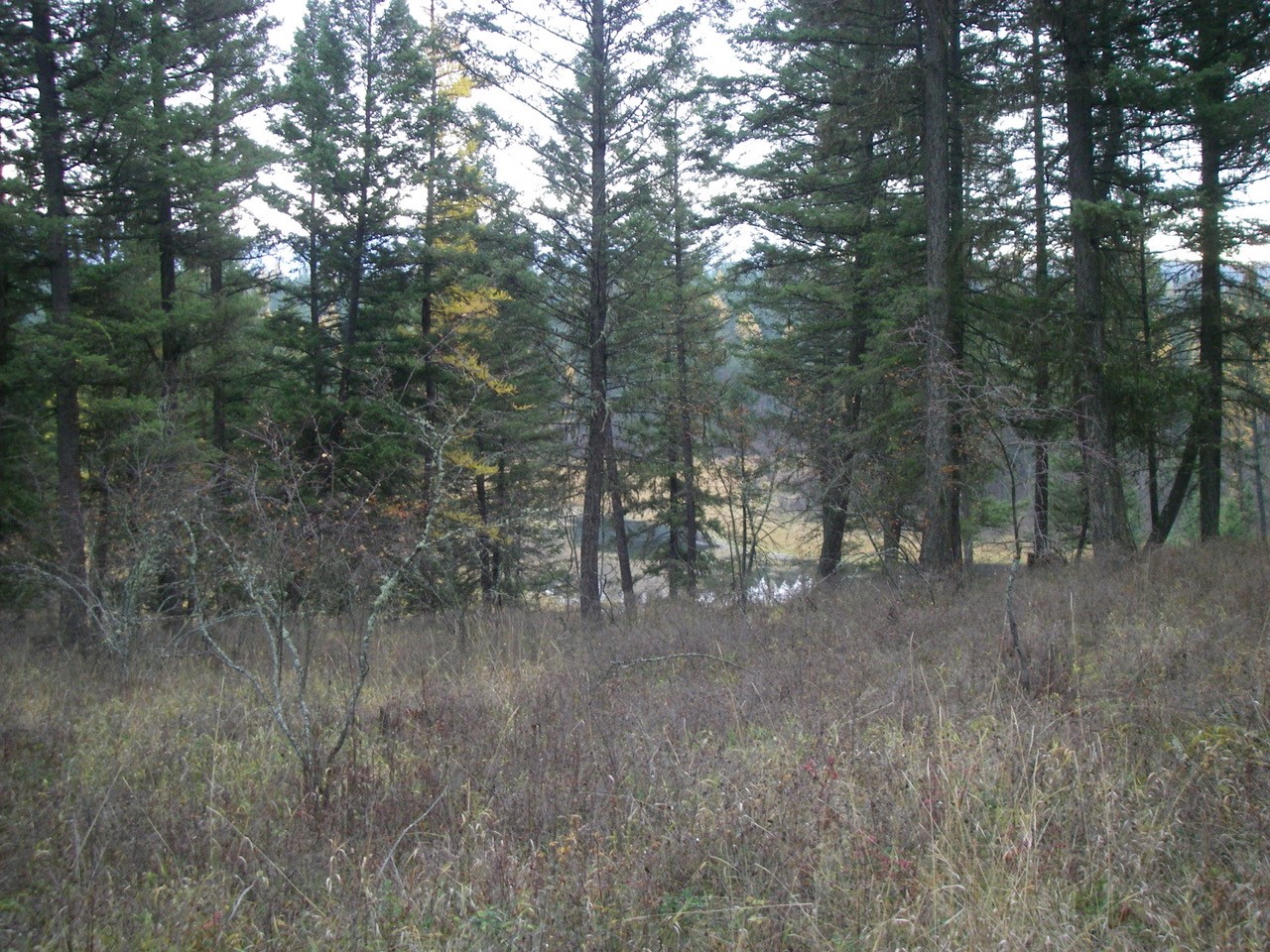 NHN Parker Lakes Road