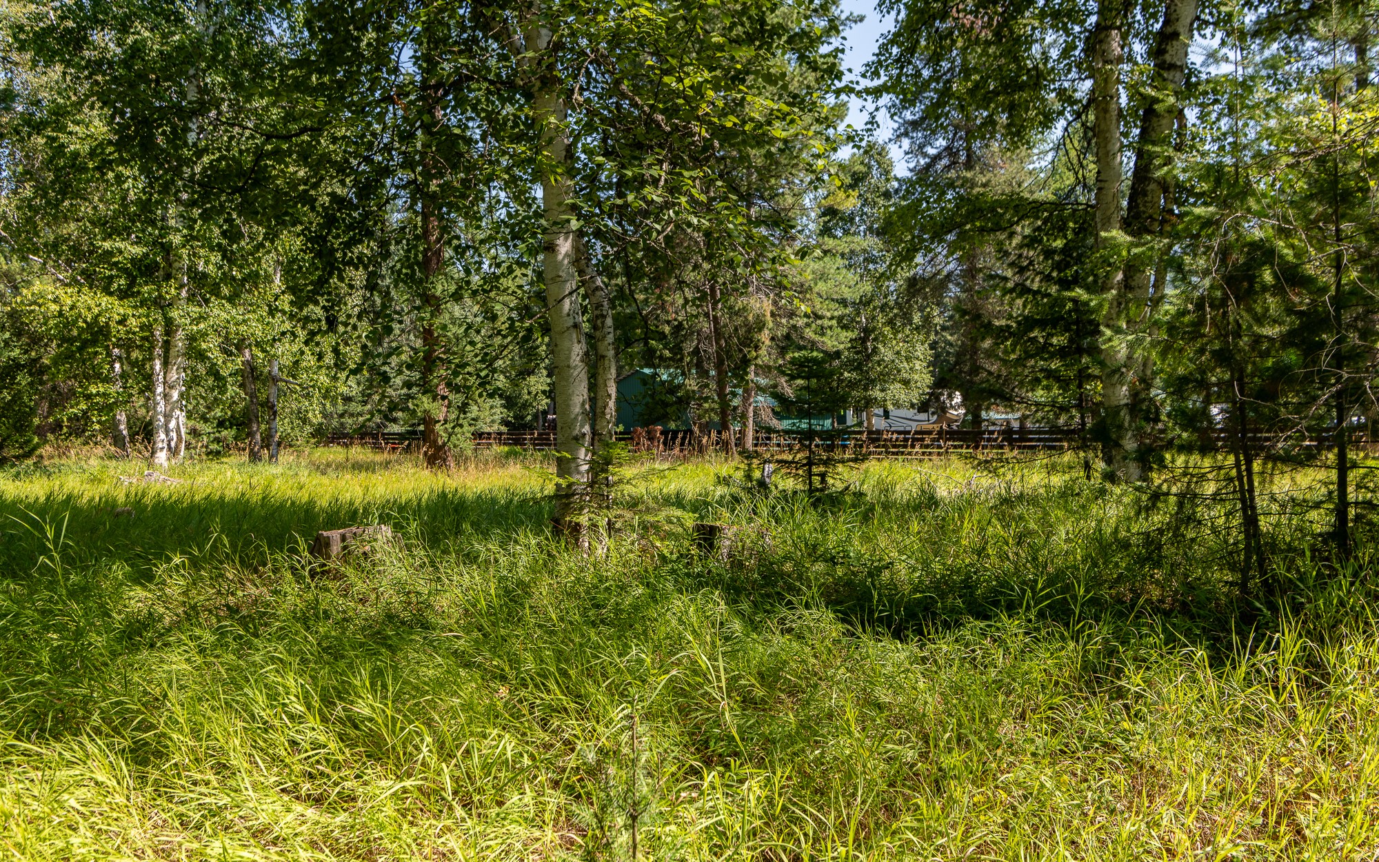 541 Alpine Drive