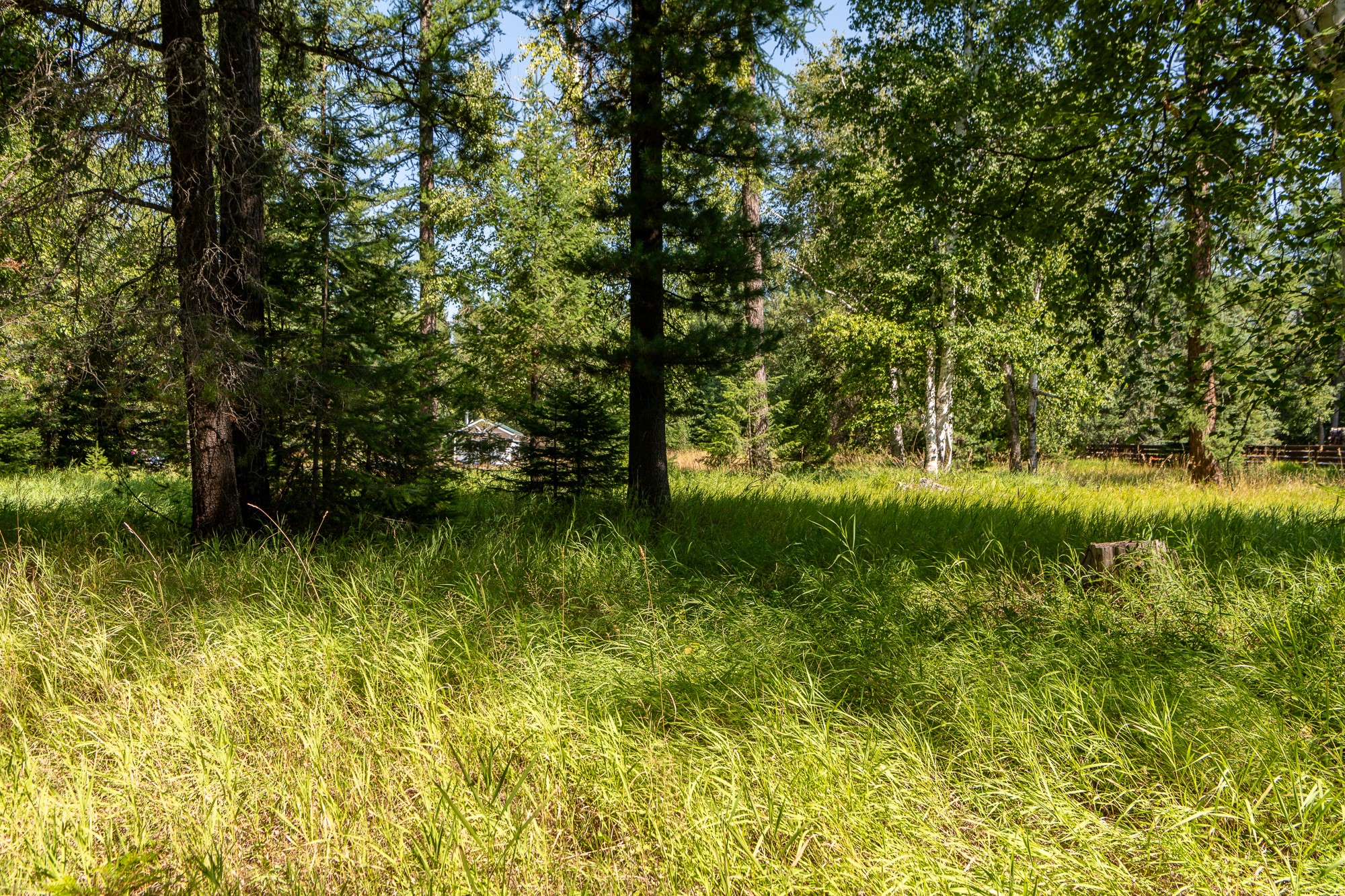 541 Alpine Drive