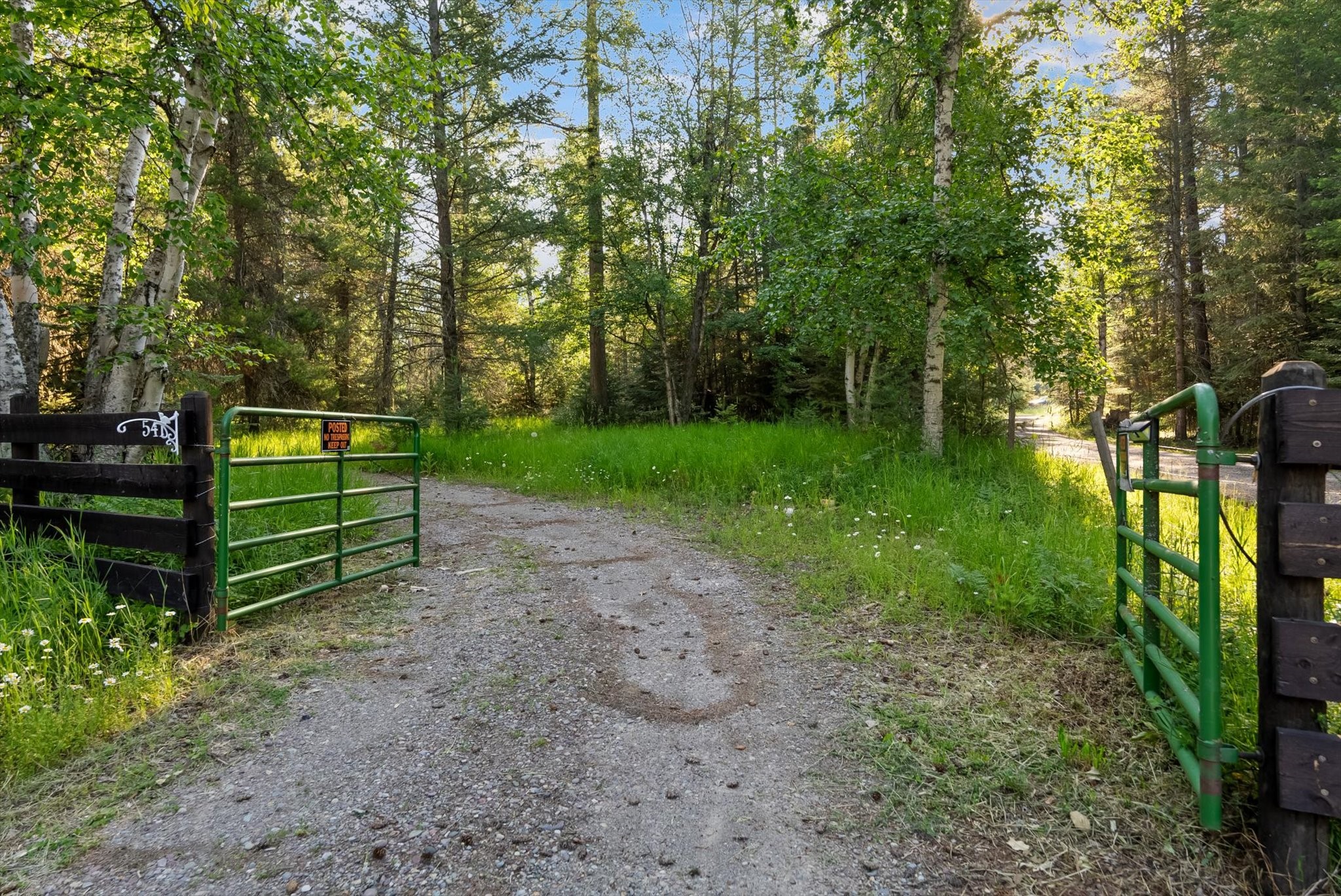 541 Alpine Drive