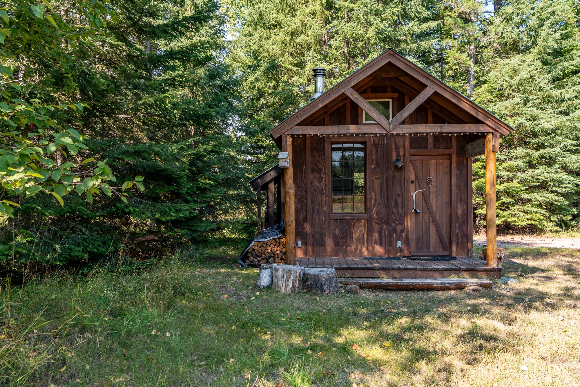 541 Alpine Drive