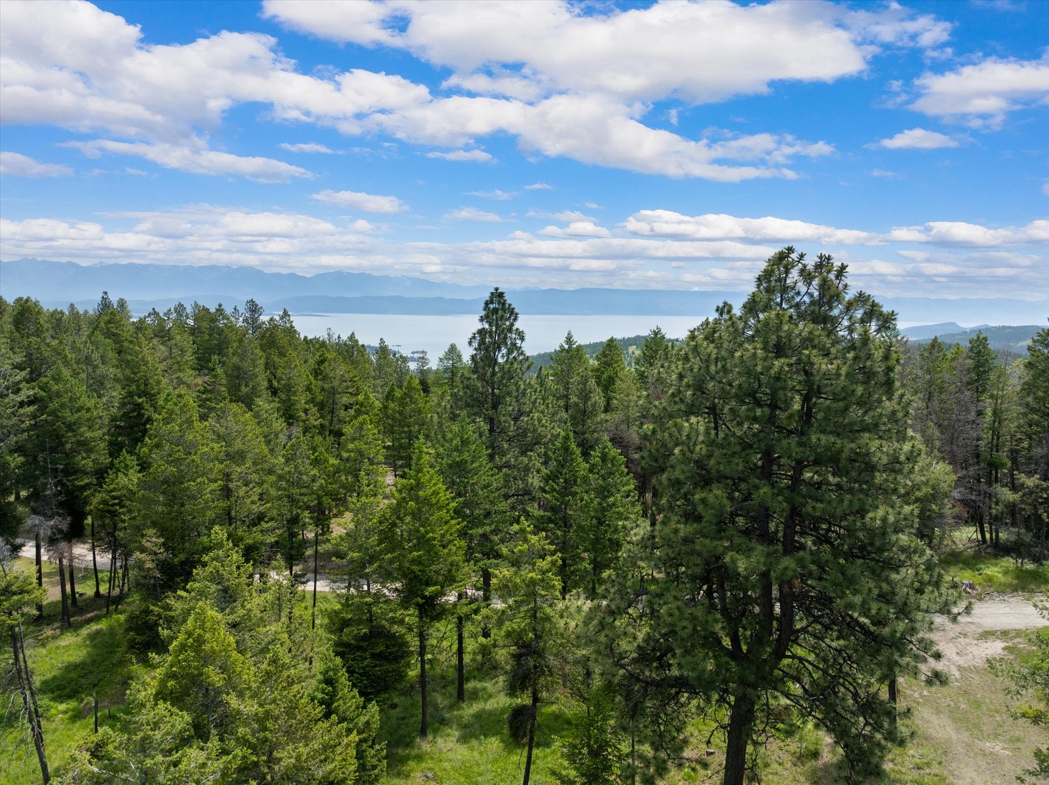 460 Buffalo Lane