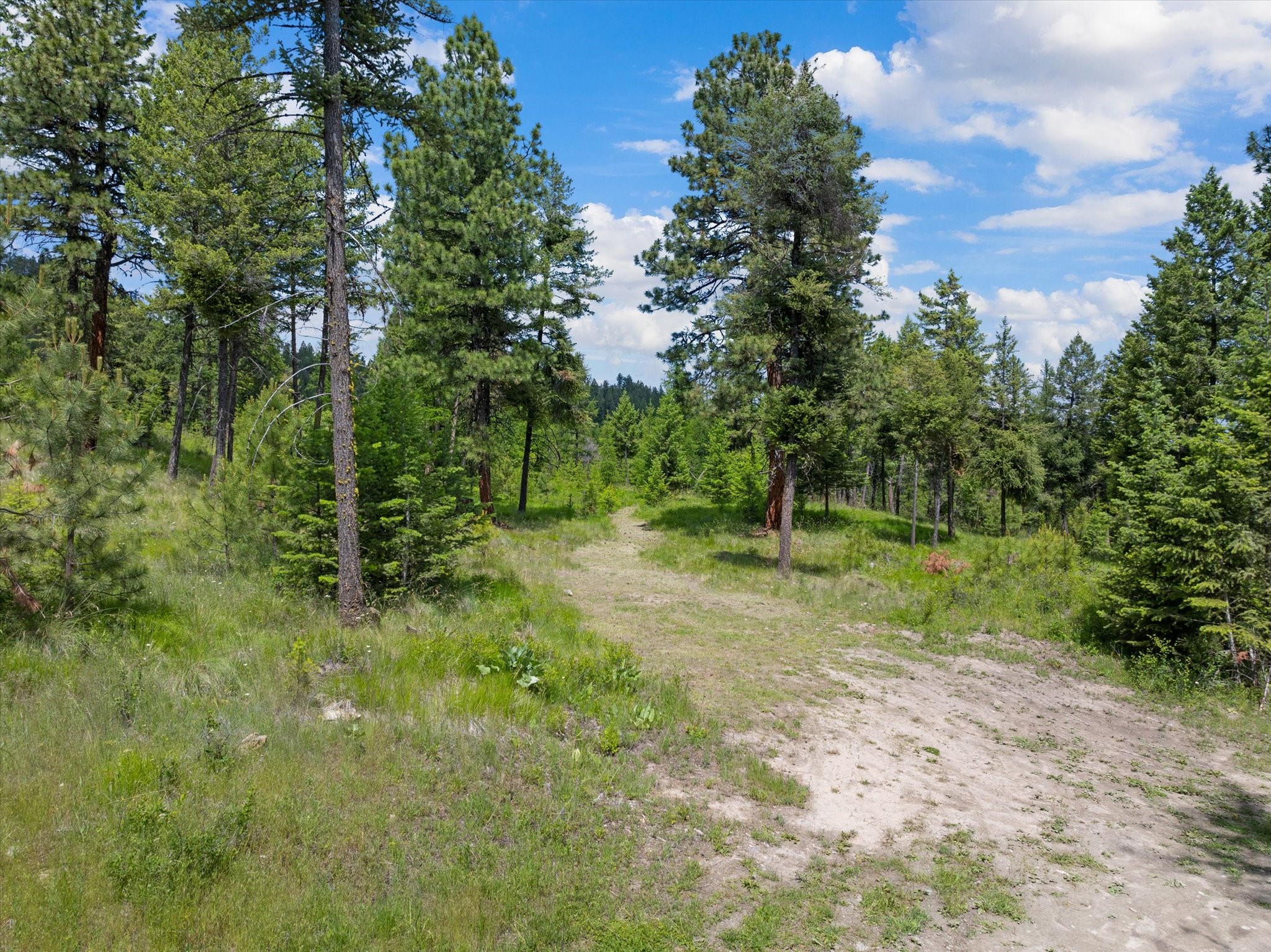 460 Buffalo Lane