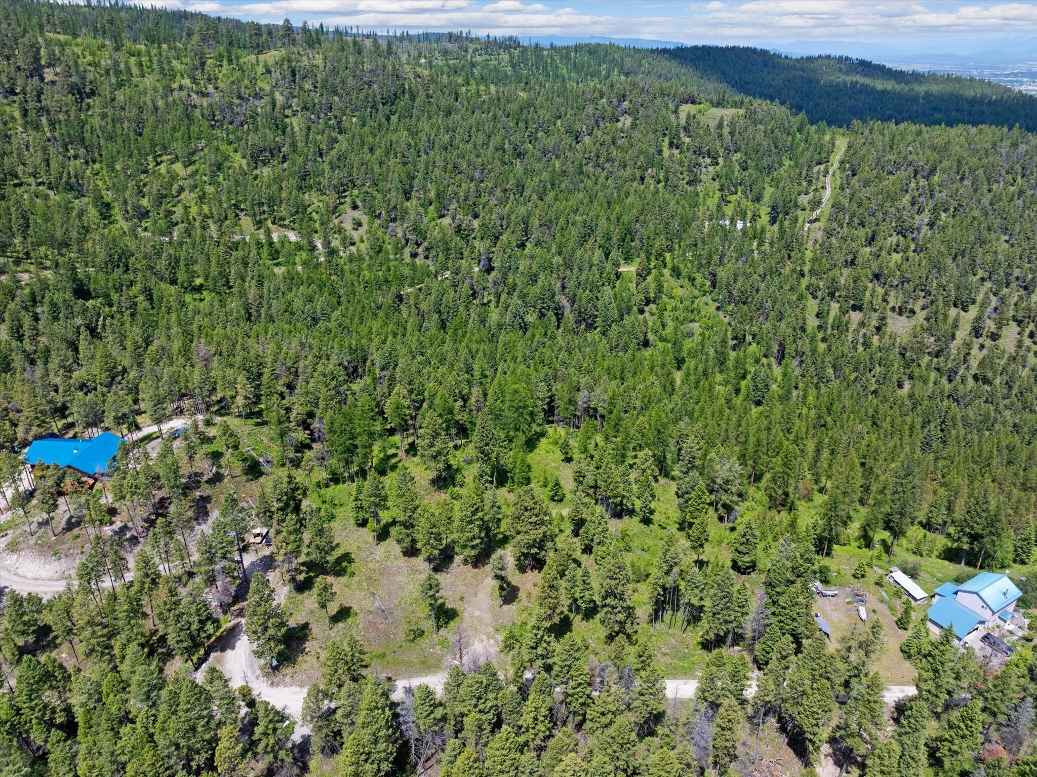 460 Buffalo Lane