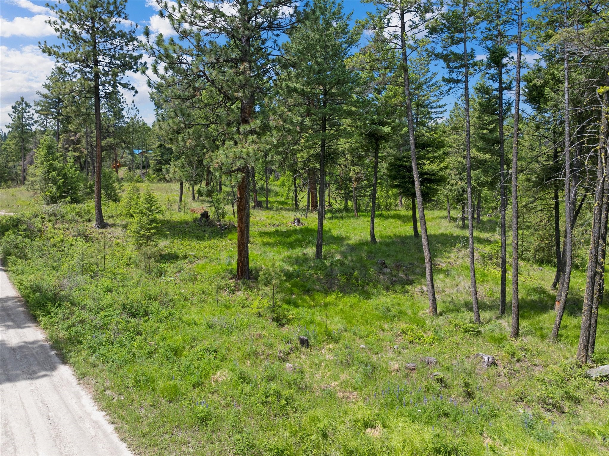 460 Buffalo Lane