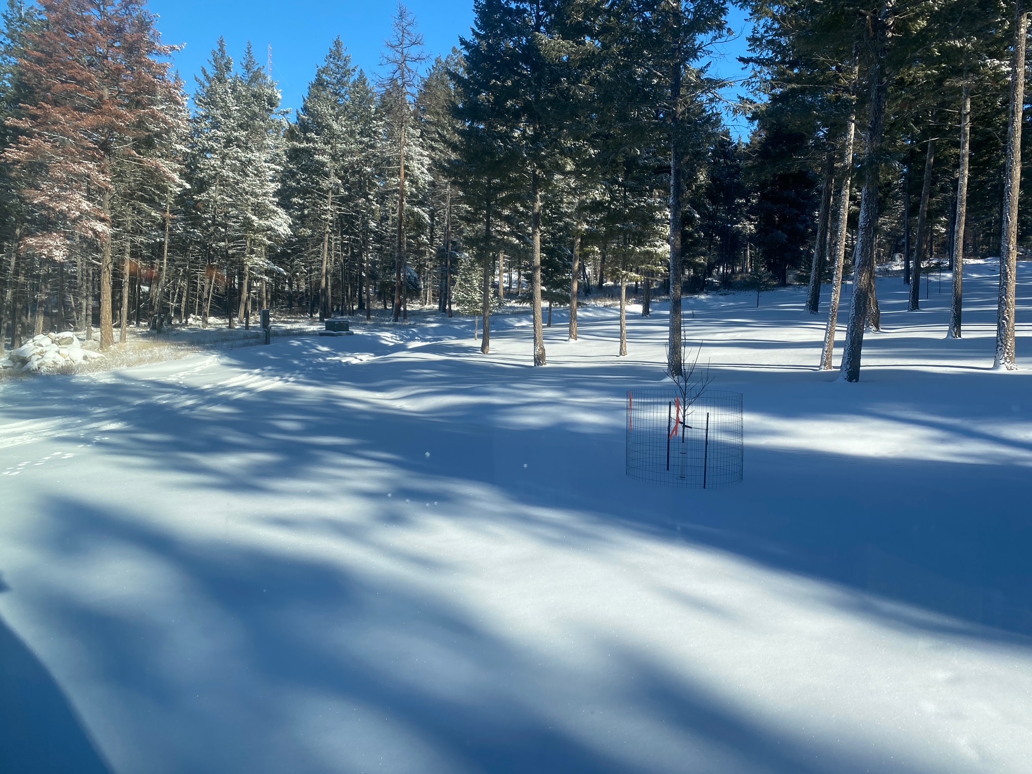 400 Buffalo Trail
