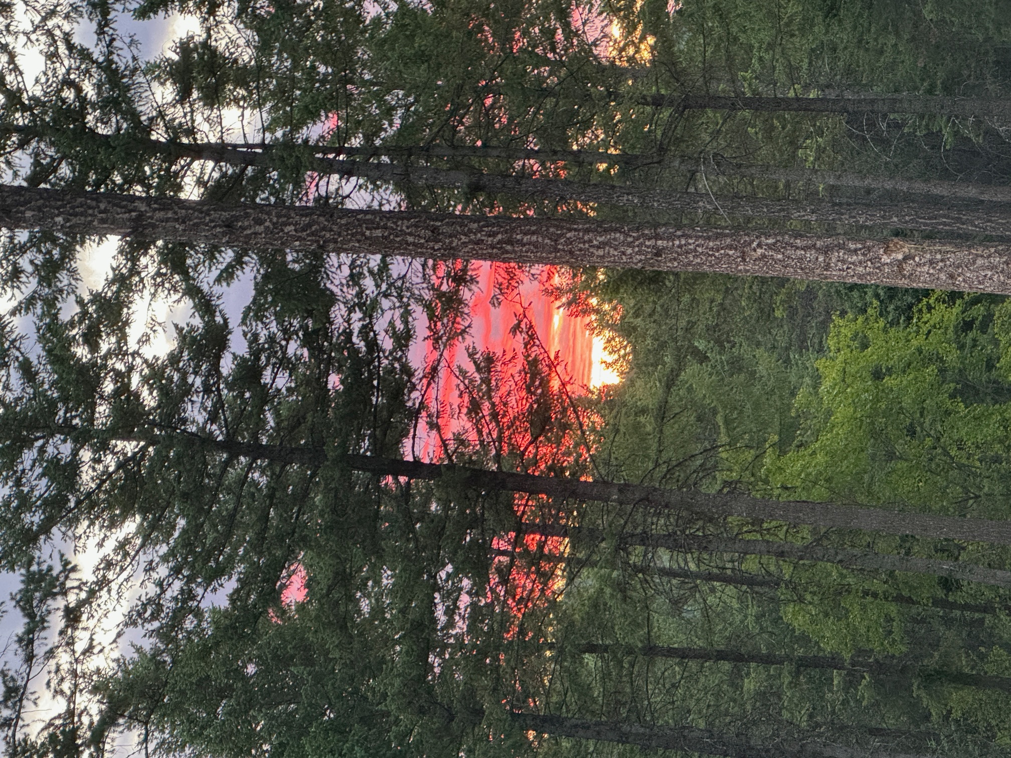 400 Buffalo Trail