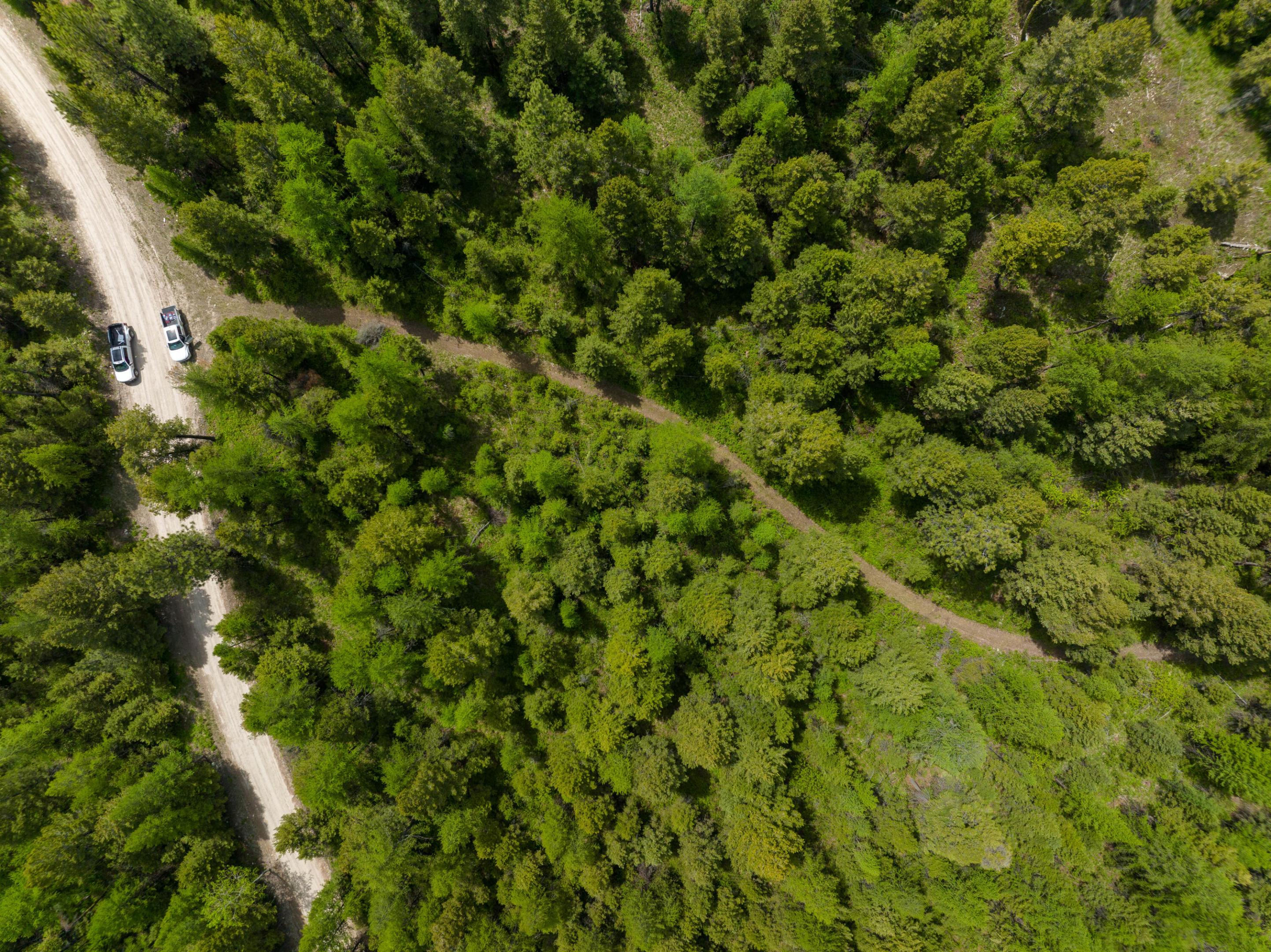 NHN Copper Road