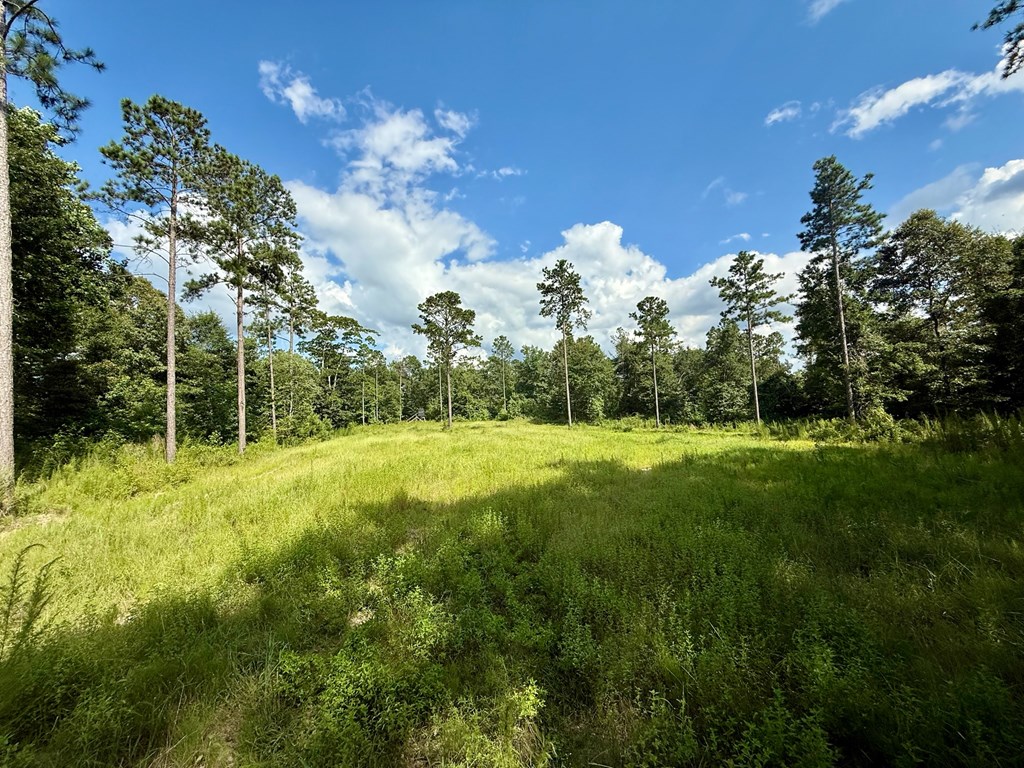 0 County Road 1158