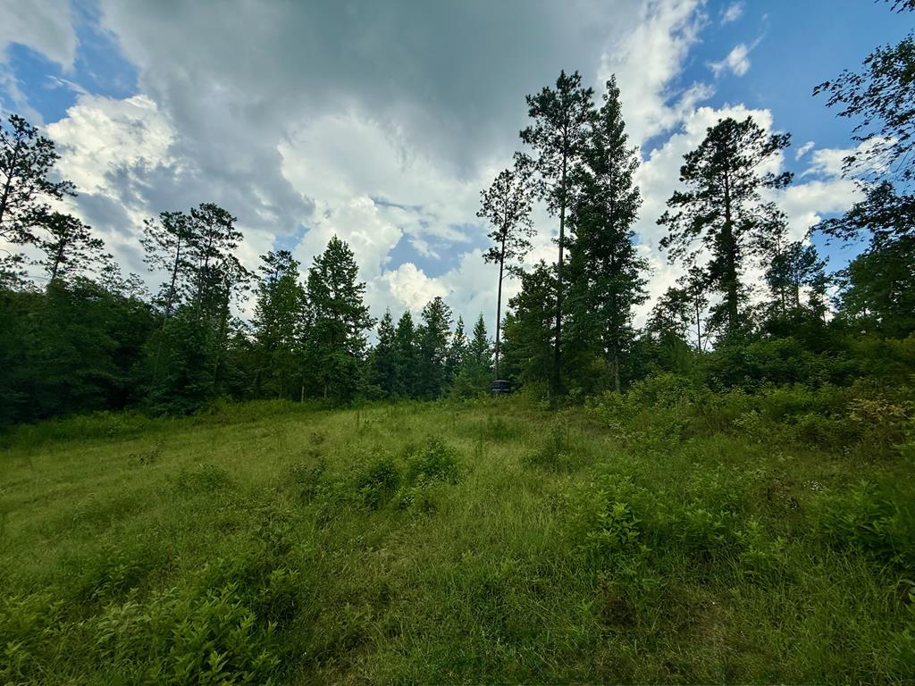 0 County Road 1158