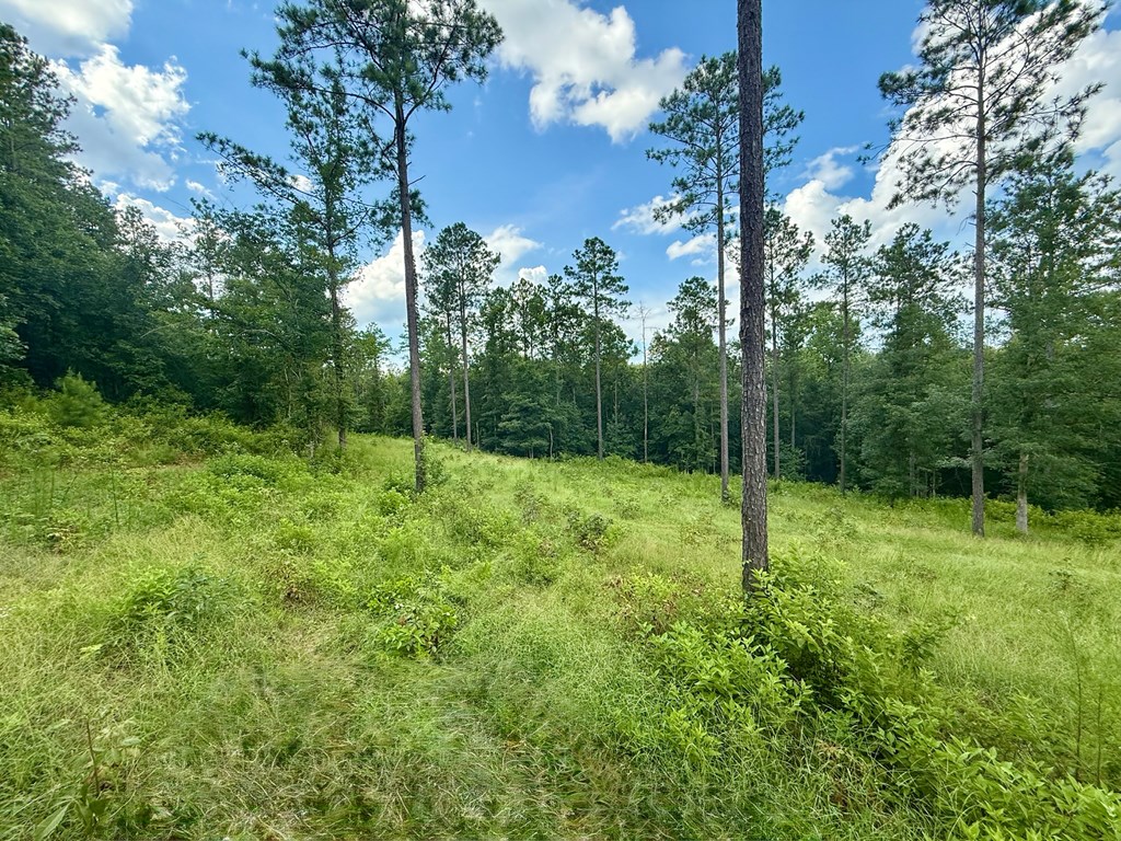 0 County Road 1158