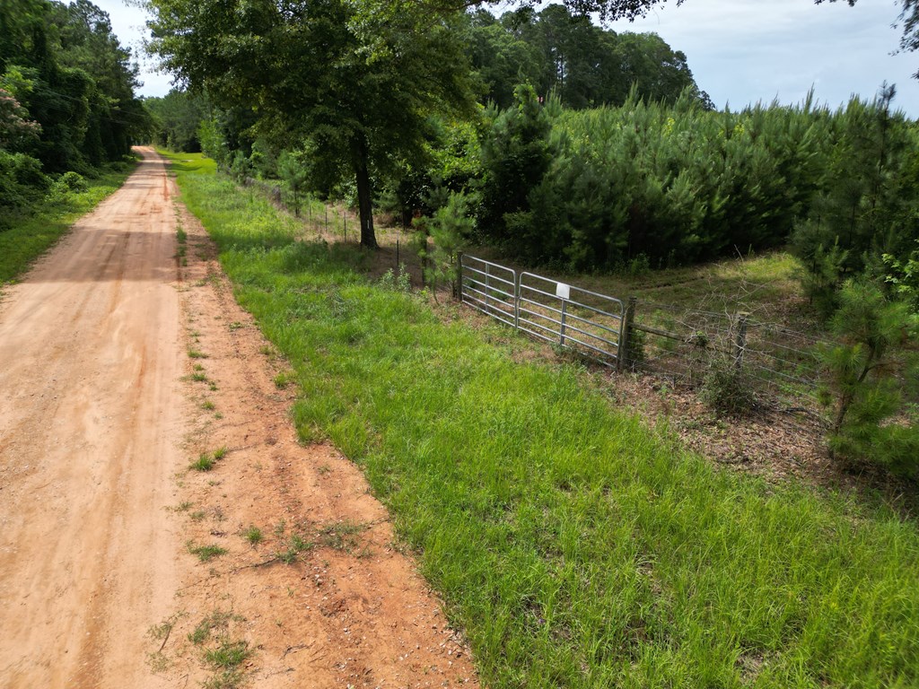 590 County Road 204