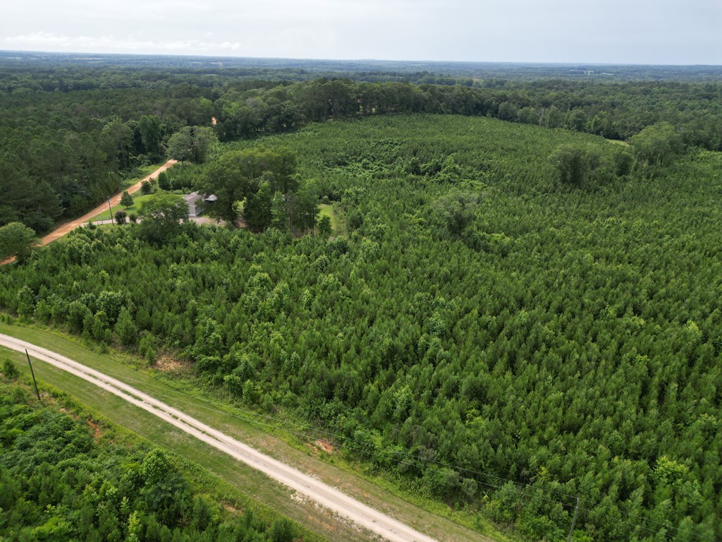 590 County Road 204