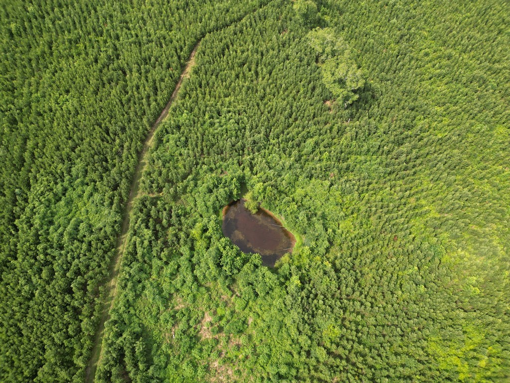 590 County Road 204