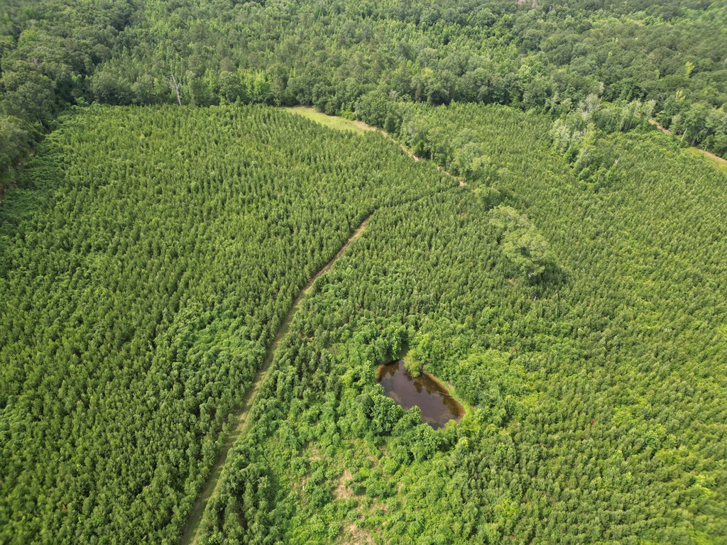 590 County Road 204
