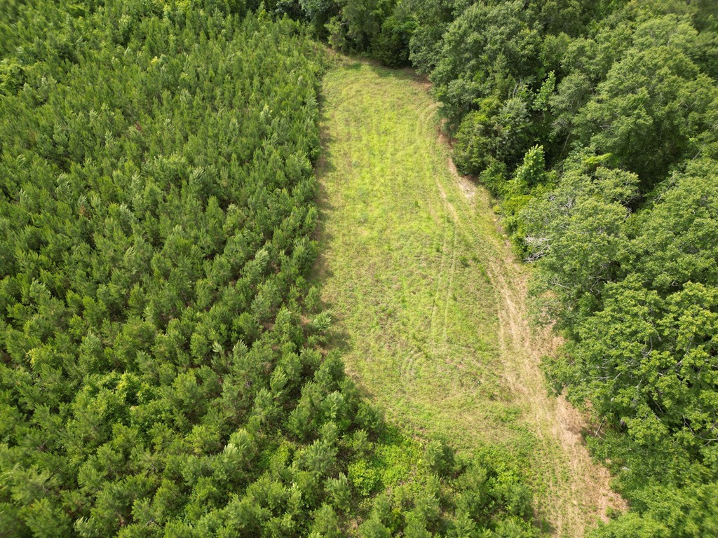 590 County Road 204