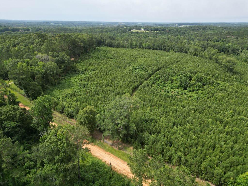 590 County Road 204
