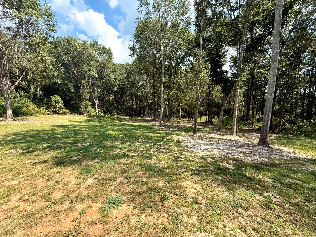 124 Co Rd 3439