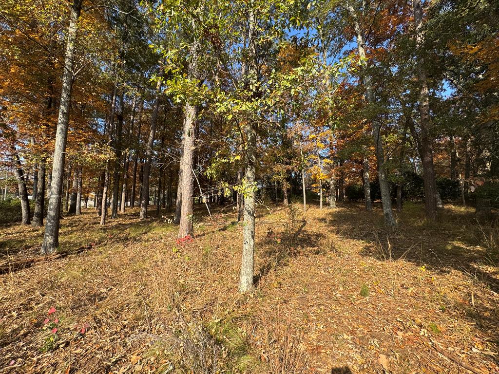 100 W Forest Ave