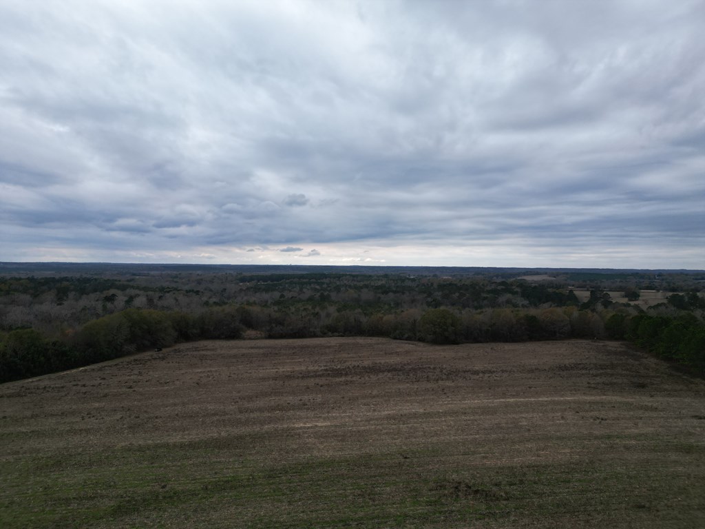 0 County Road 91
