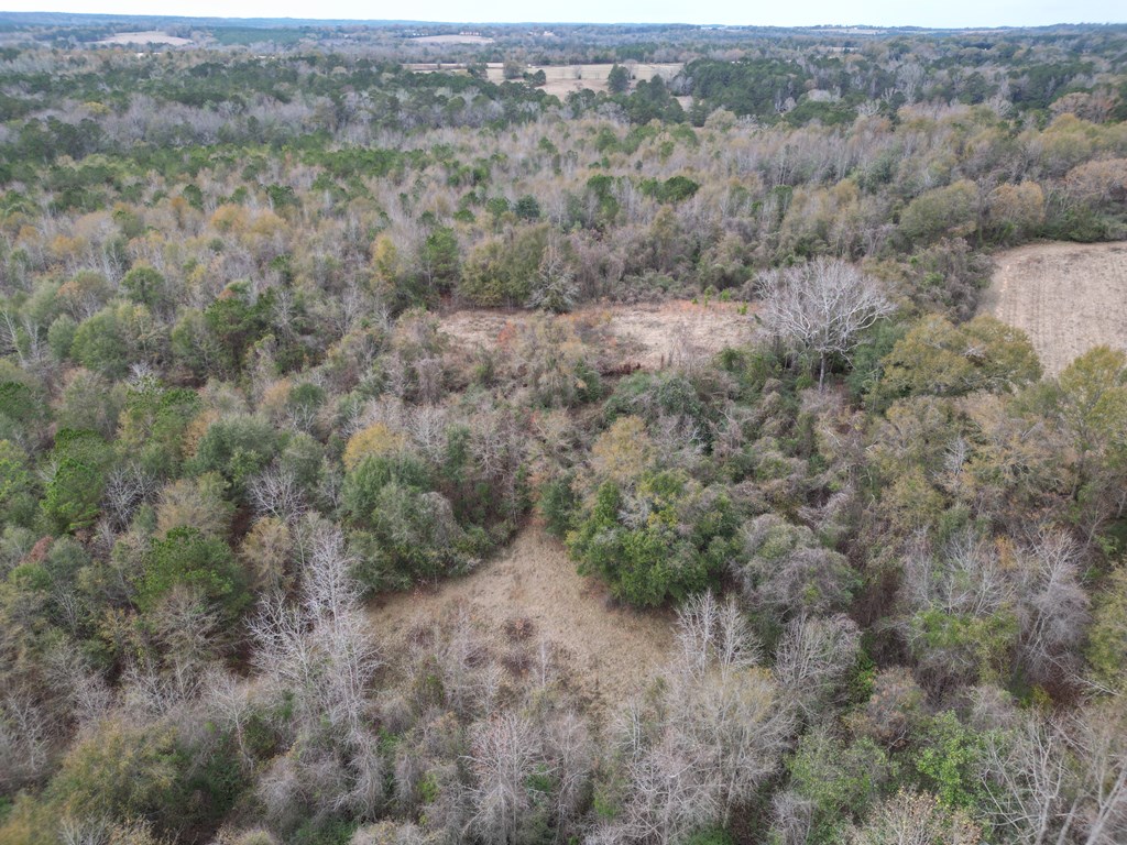 0 County Road 91