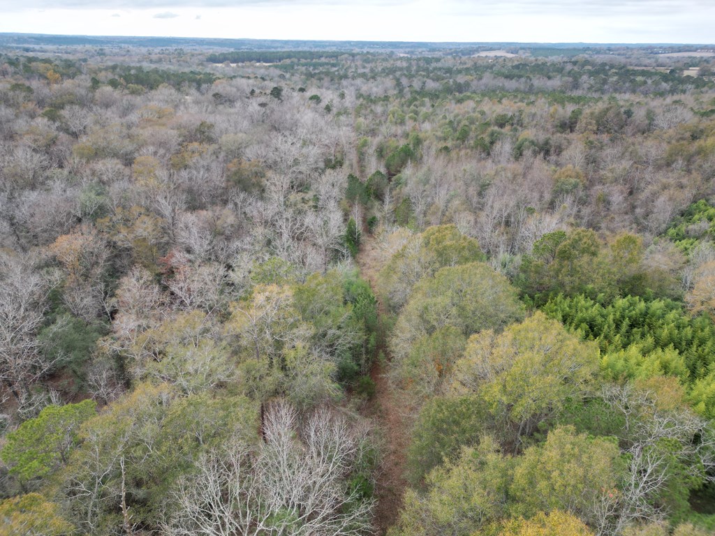 0 County Road 91