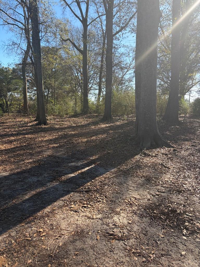 3772 County Road 11