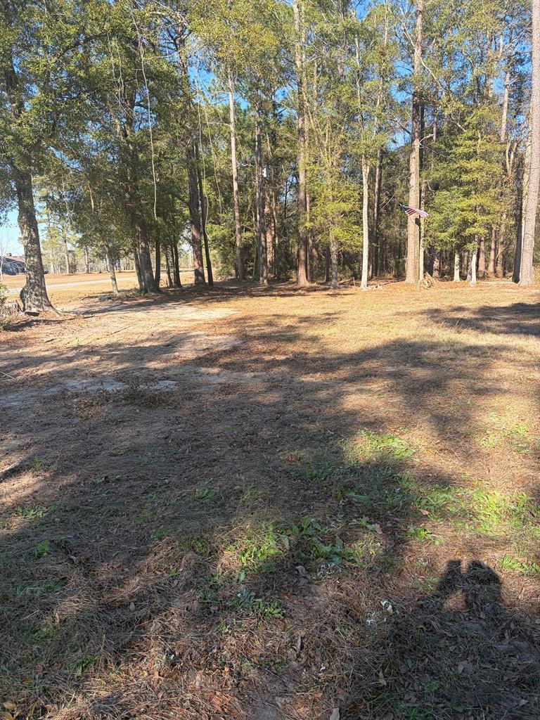 3772 County Road 11