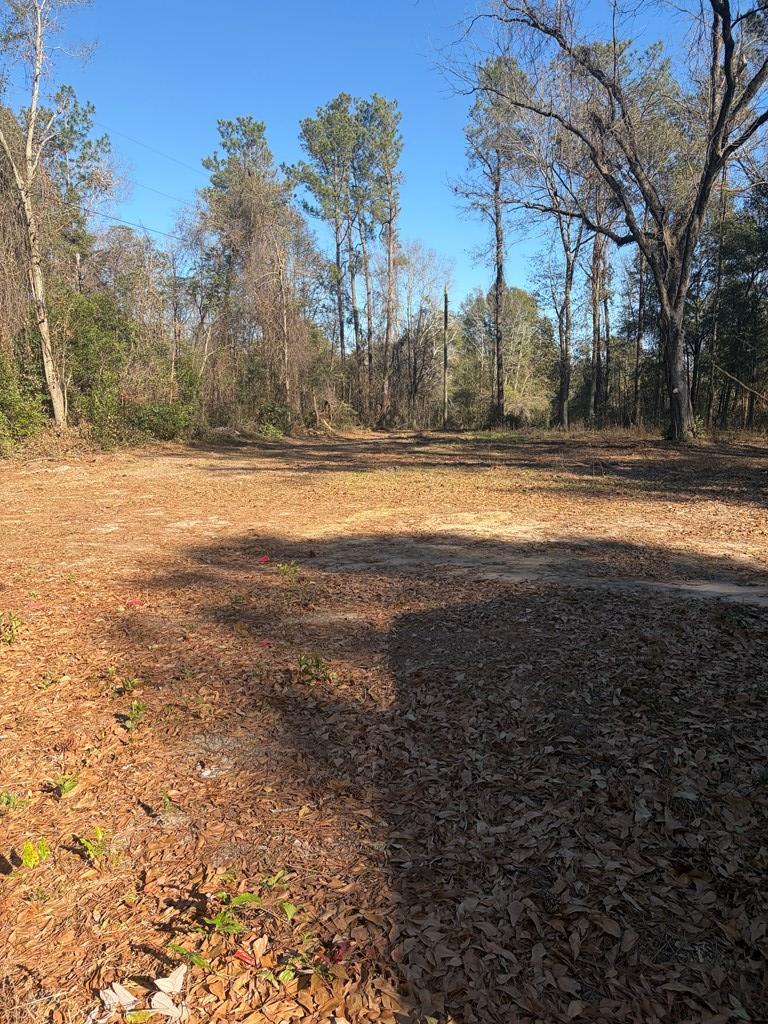 3772 County Road 11