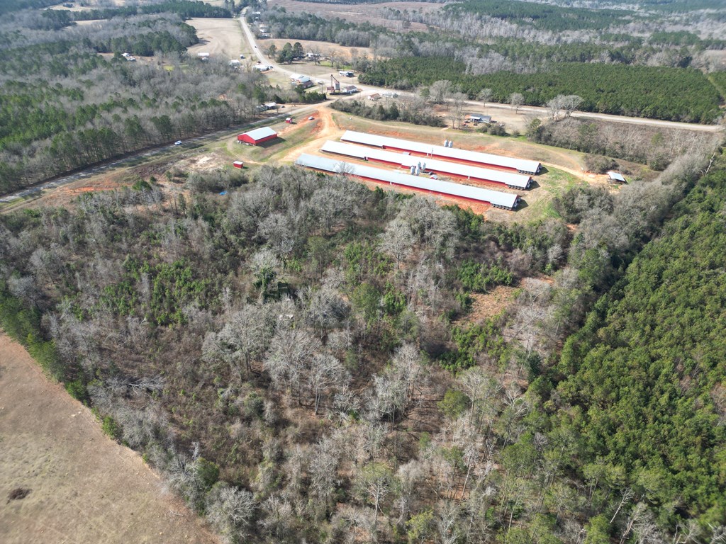 219 County Road 6628