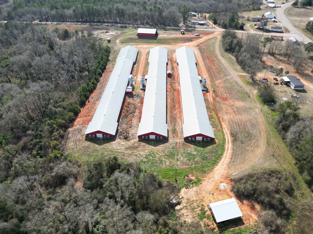 219 County Road 6628