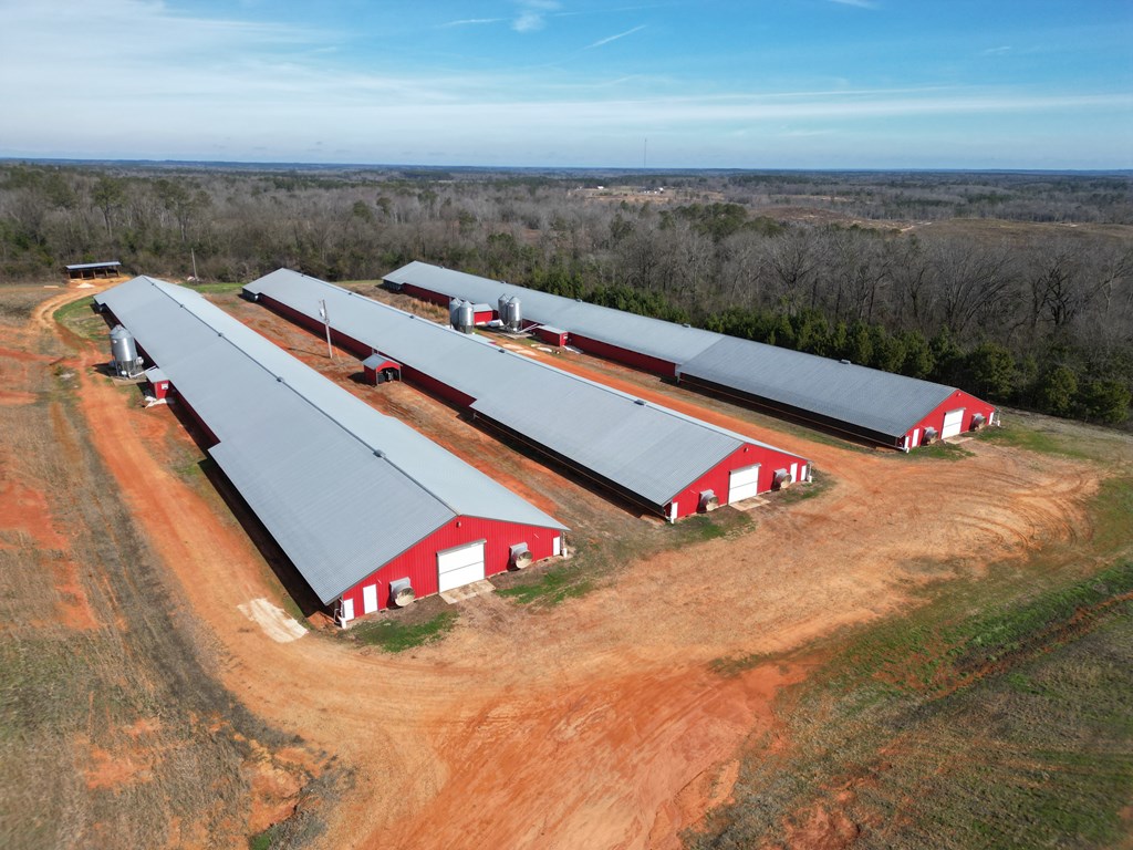 219 County Road 6628