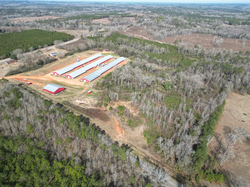 219 County Road 6628