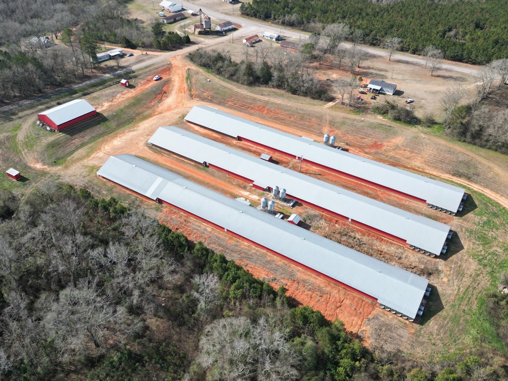 219 County Road 6628