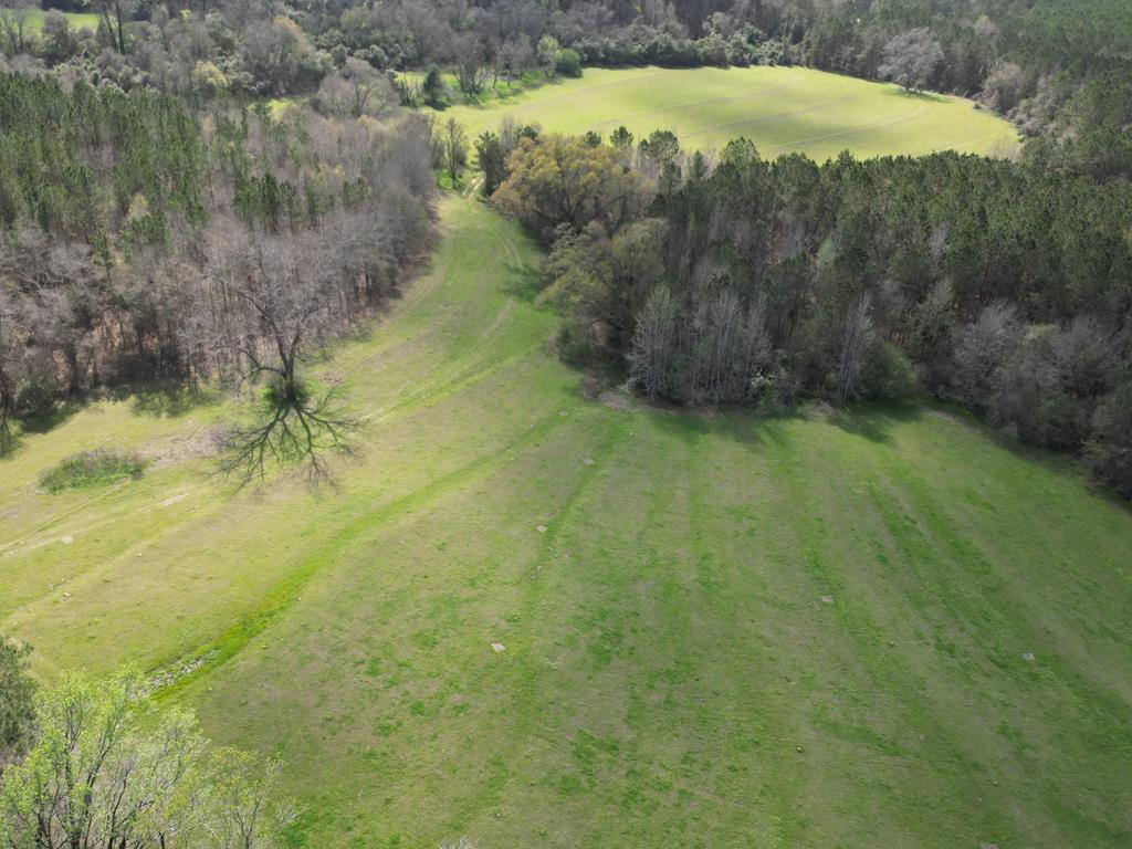 0 County Road 221