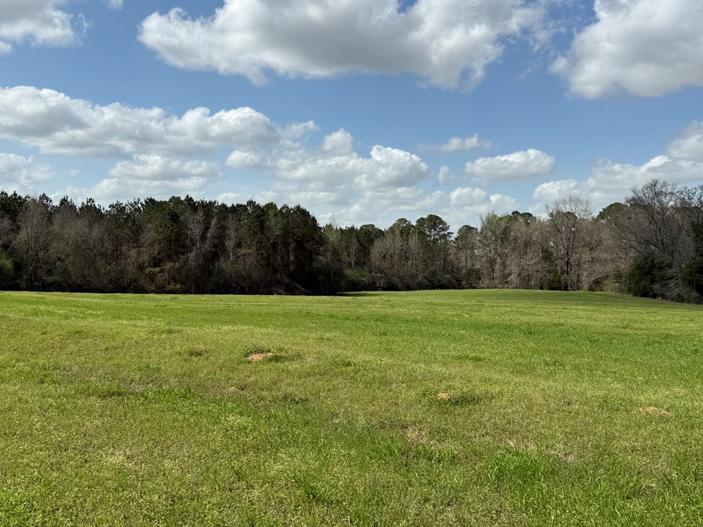 0 County Road 221