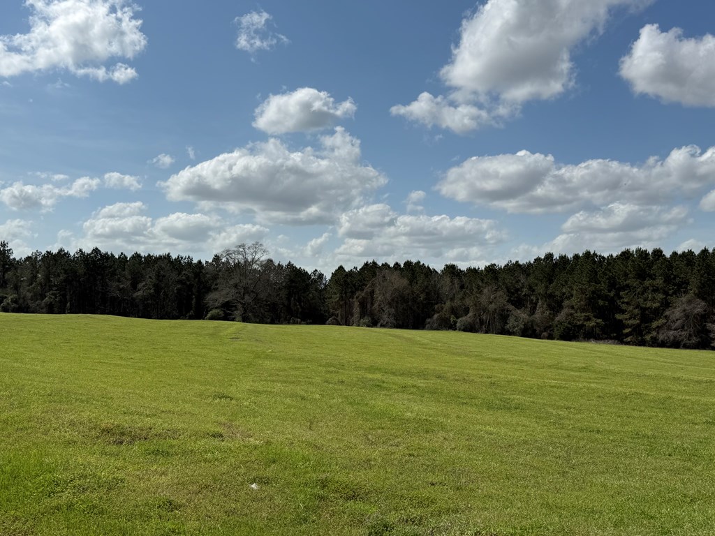 0 County Road 221