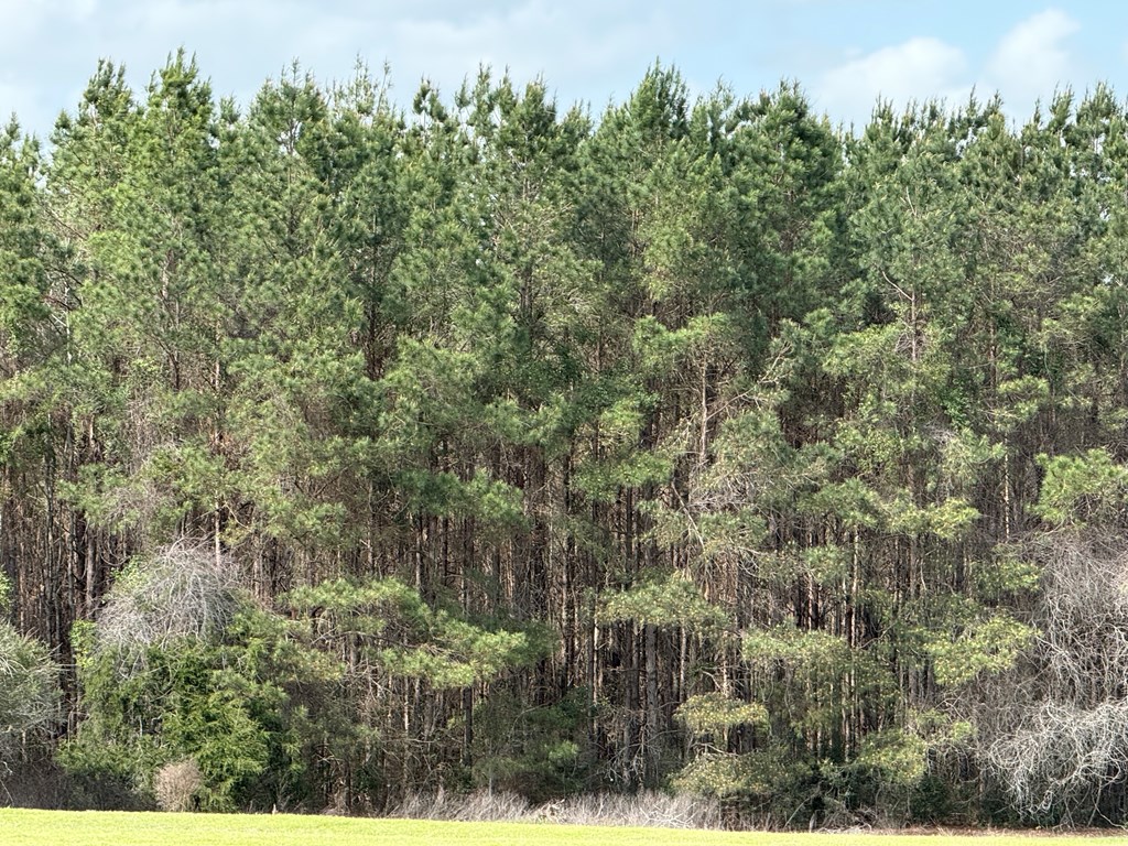 0 County Road 221