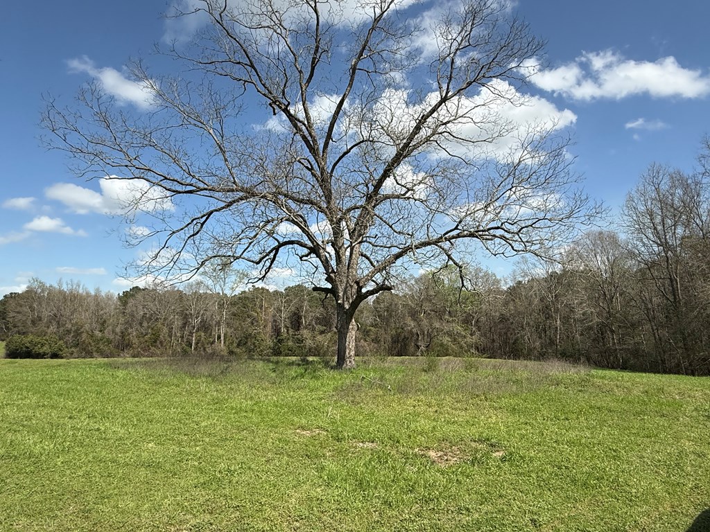 0 County Road 221
