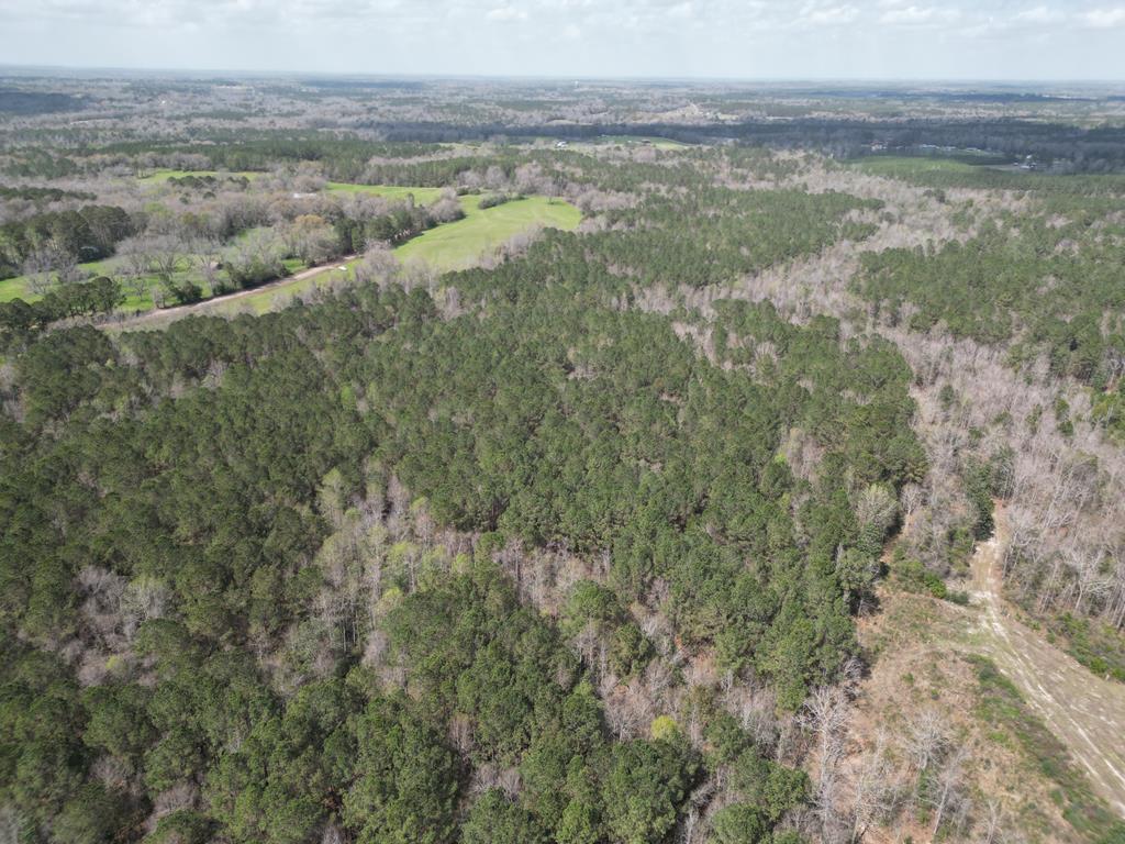 0 County Road 221