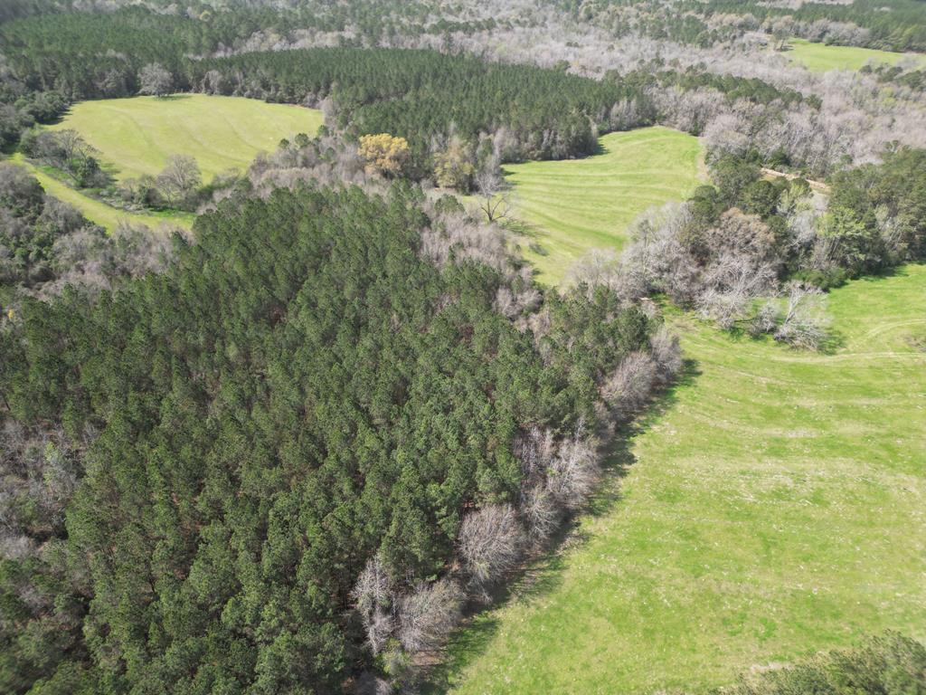 0 County Road 221