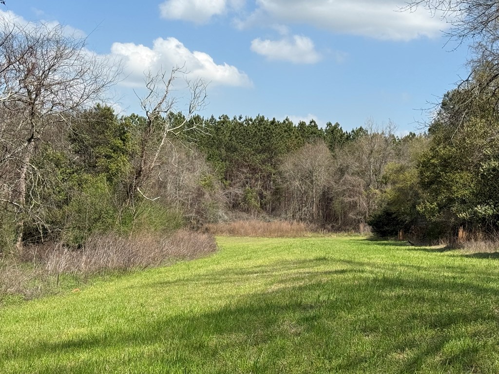 0 County Road 221