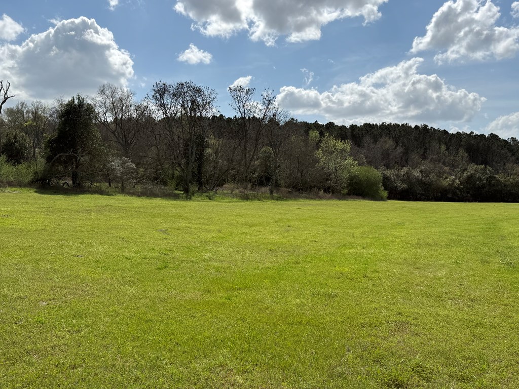 0 County Road 221