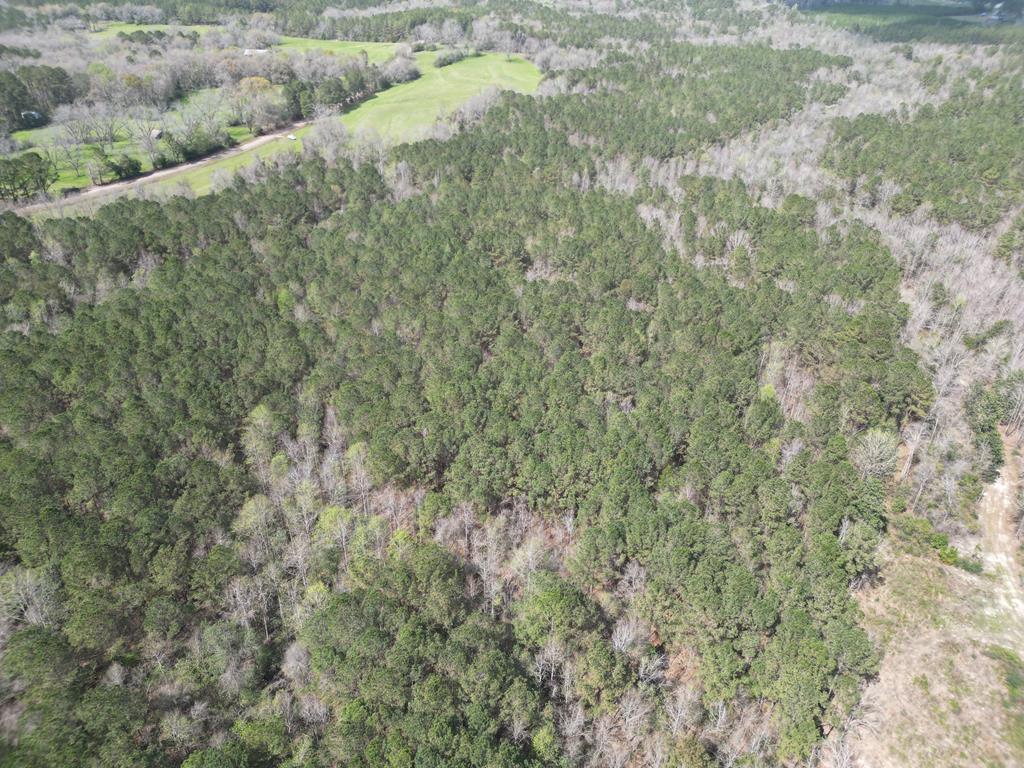 0 County Road 221