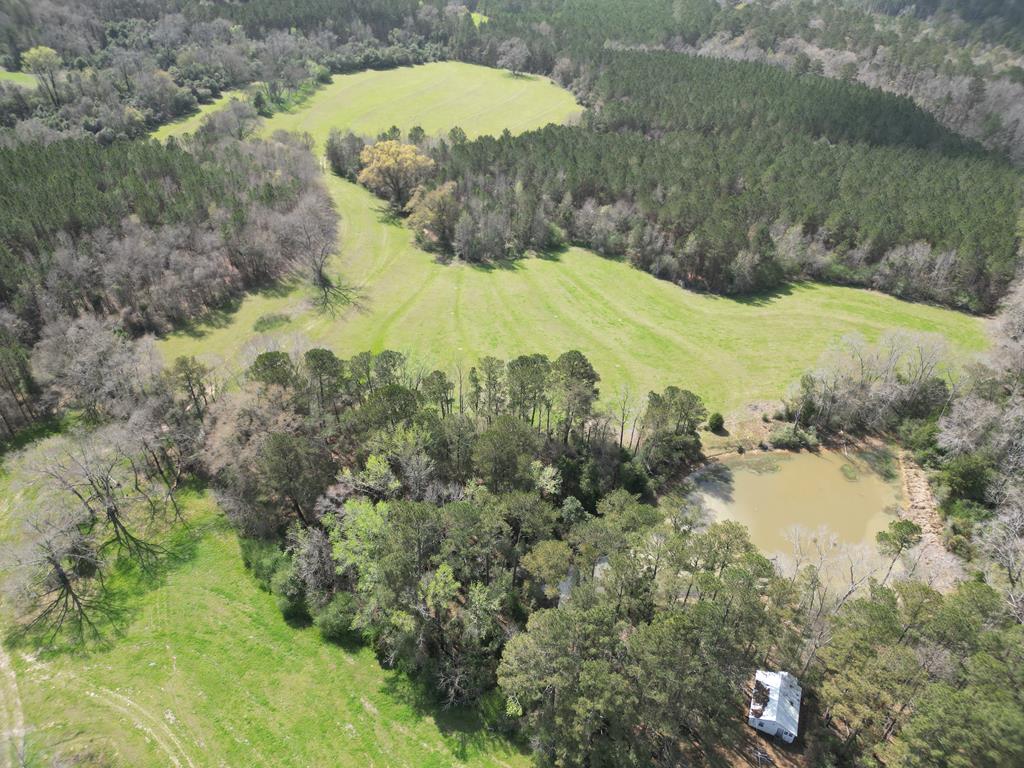 0 County Road 221